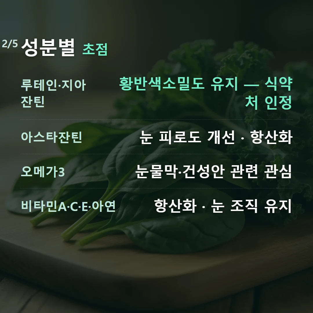 성분별 초점 — 루테인·지아잔틴 황반색소밀도 유지 — 식약처 인정, 아스타잔틴 눈 피로도 개선 · 항산화, 오메가3 눈물막·건성안 관련 관심, 비타민A·C·E·아연 항산화 · 눈 조직 유지