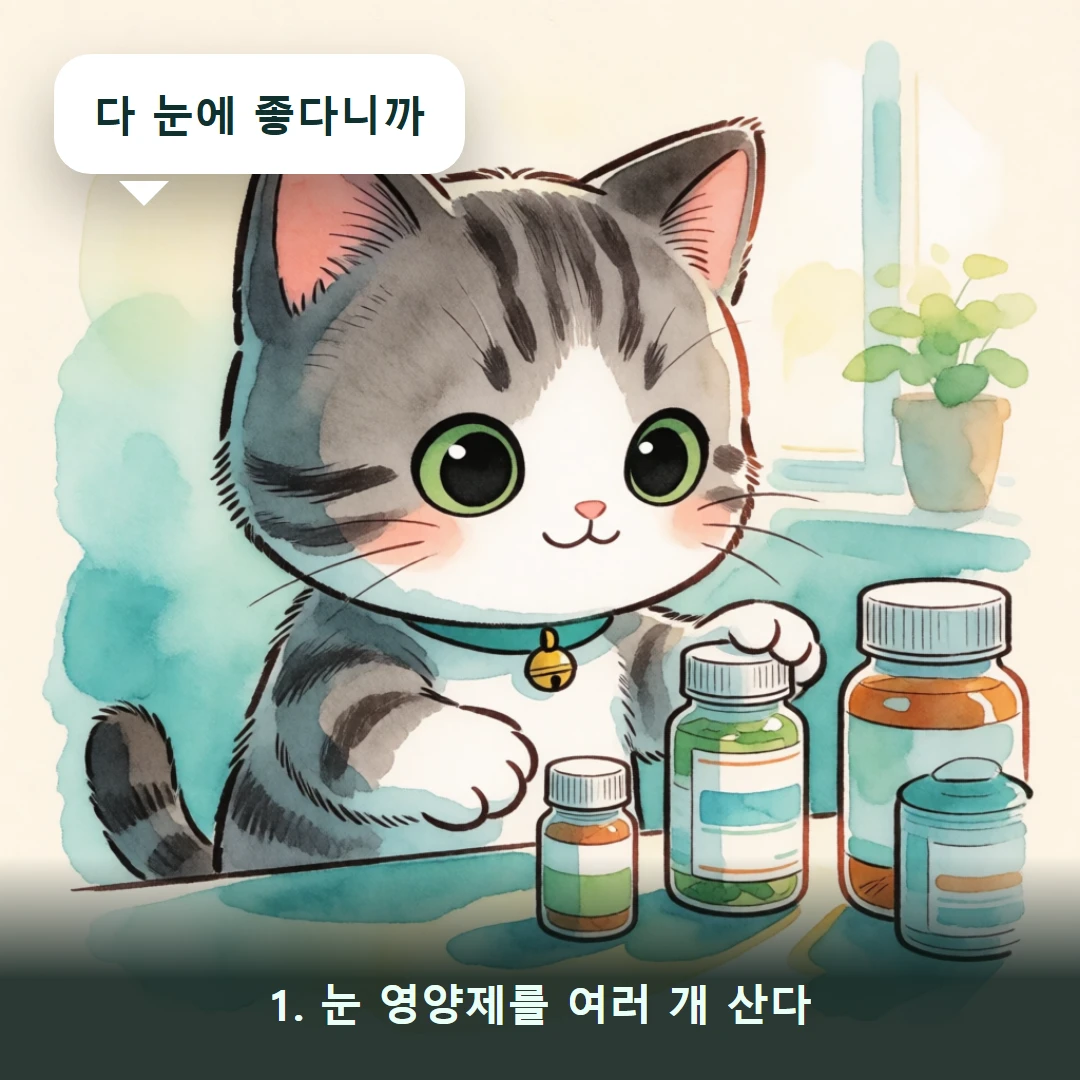 웹툰 1컷 — 1. 눈 영양제를 여러 개 산다 (다 눈에 좋다니까)