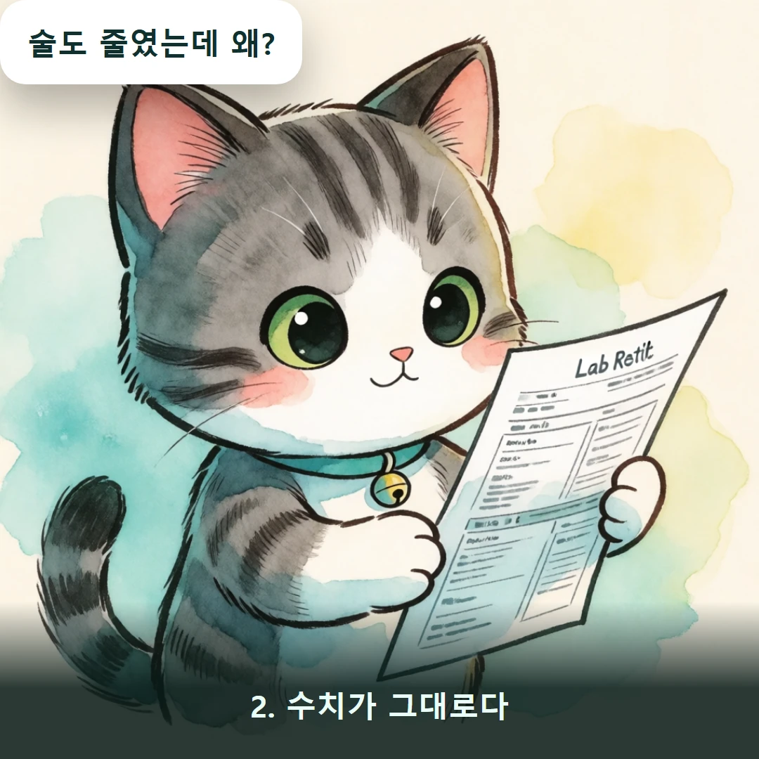 웹툰 2컷 — 2. 수치가 그대로다 (술도 줄였는데 왜?)