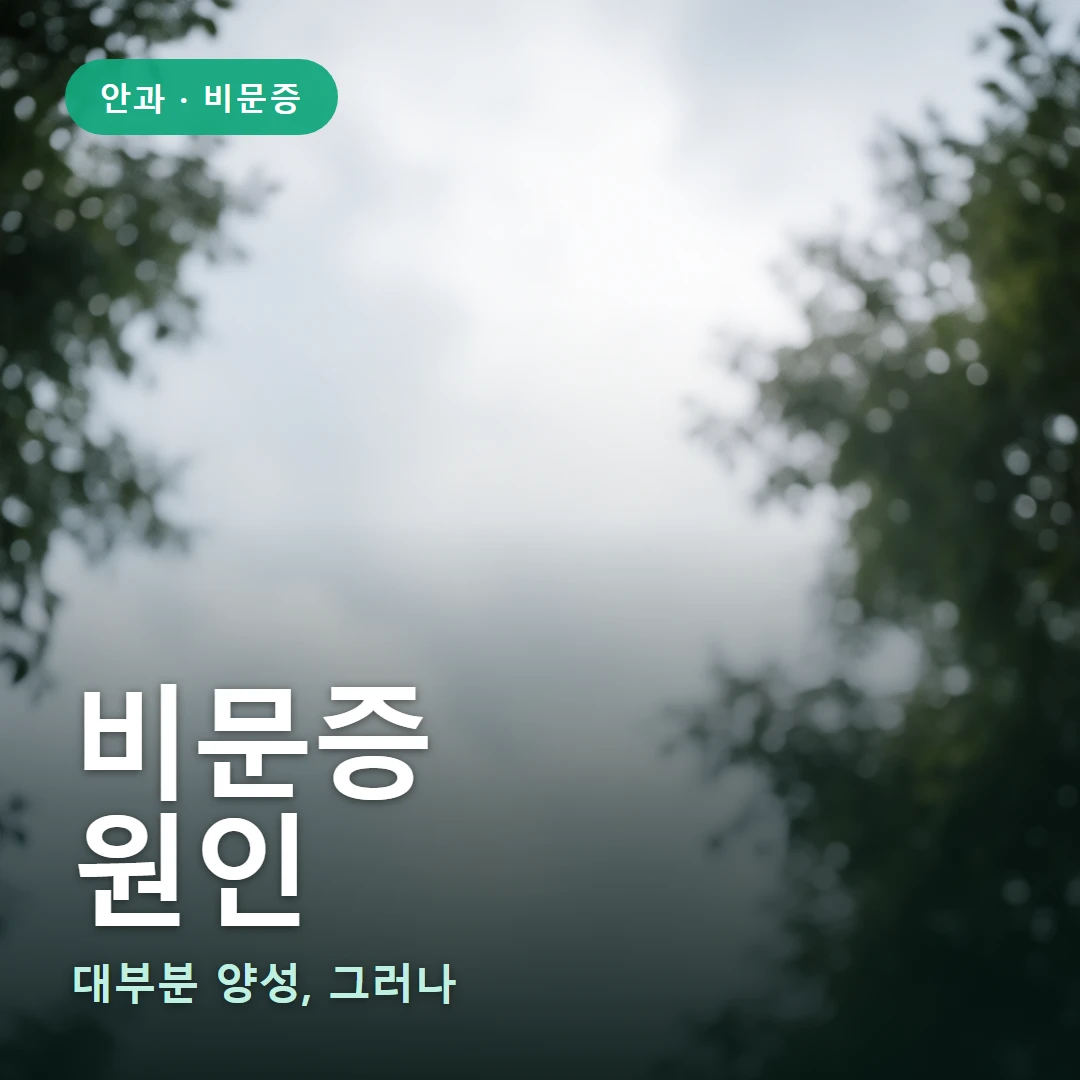 비문증 요약 표지 — 대부분 양성, 그러나