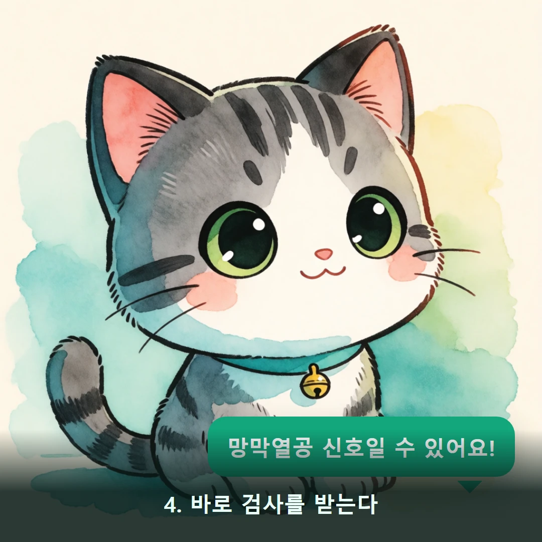 웹툰 4컷 — 4. 바로 검사를 받는다 (망막열공 신호일 수 있어요!)
