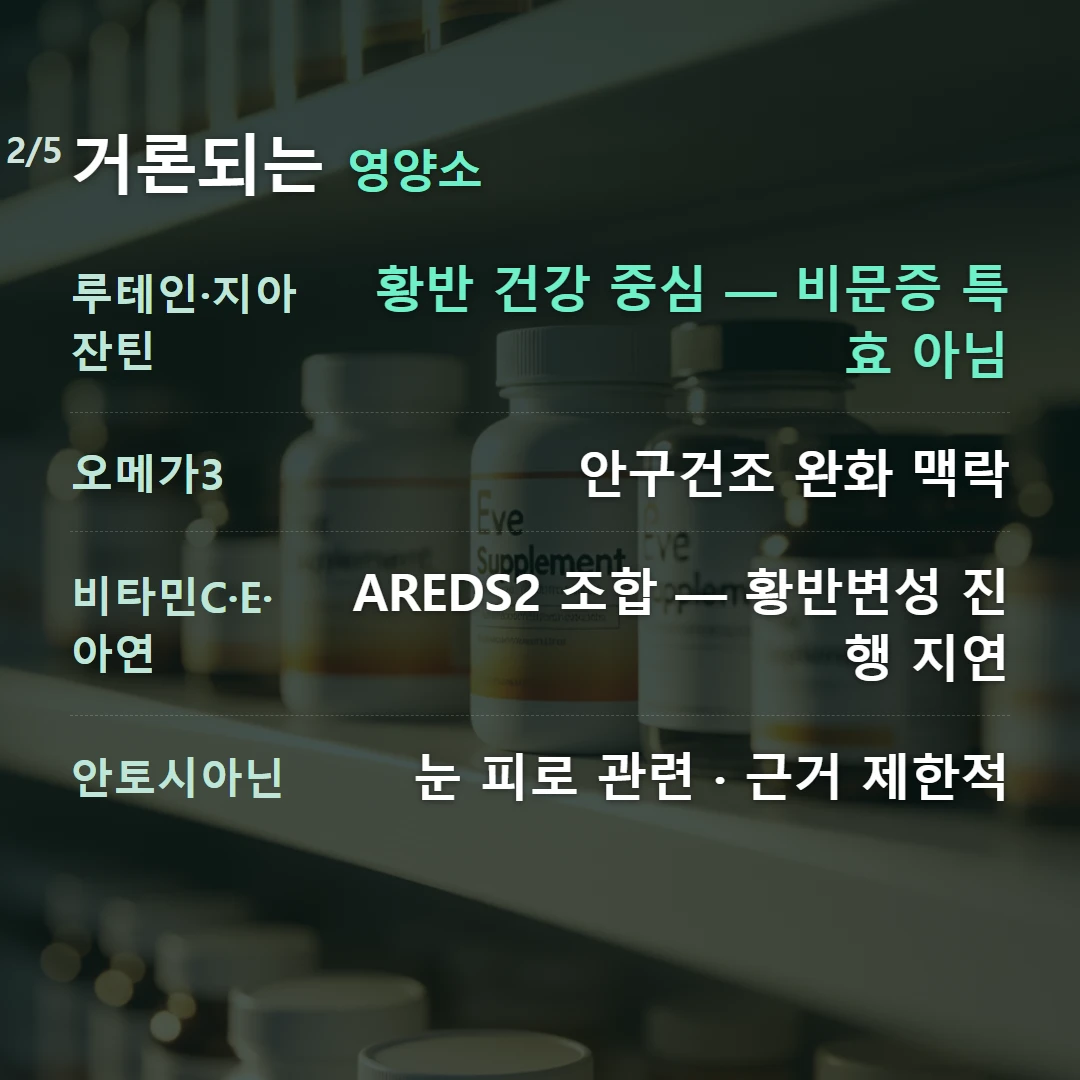 거론되는 영양소 — 루테인·지아잔틴 황반 건강 중심 — 비문증 특효 아님, 오메가3 안구건조 완화 맥락, 비타민C·E·아연 AREDS2 조합 — 황반변성 진행 지연, 안토시아닌 눈 피로 관련 · 근거 제한적