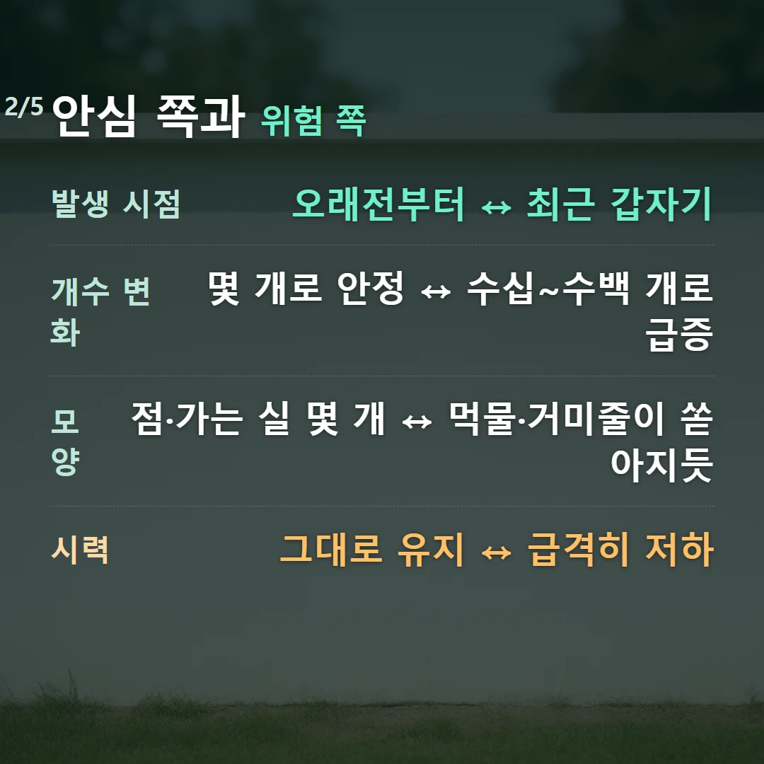 안심 쪽과 위험 쪽 — 발생 시점 오래전부터 ↔ 최근 갑자기, 개수 변화 몇 개로 안정 ↔ 수십~수백 개로 급증, 모양 점·가는 실 몇 개 ↔ 먹물·거미줄이 쏟아지듯, 시력 그대로 유지 ↔ 급격히 저하