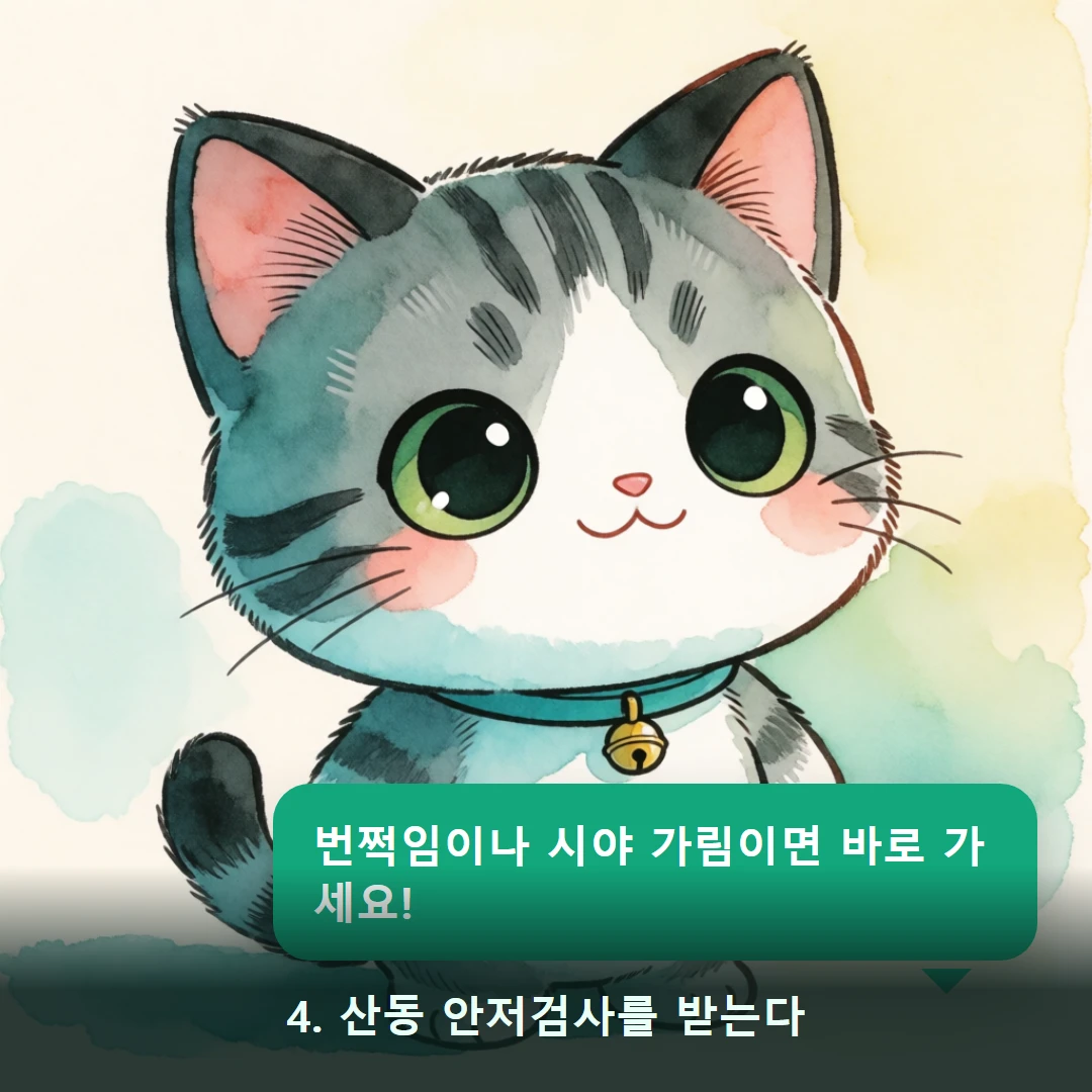 웹툰 4컷 — 4. 산동 안저검사를 받는다 (번쩍임이나 시야 가림이면 바로 가세요!)