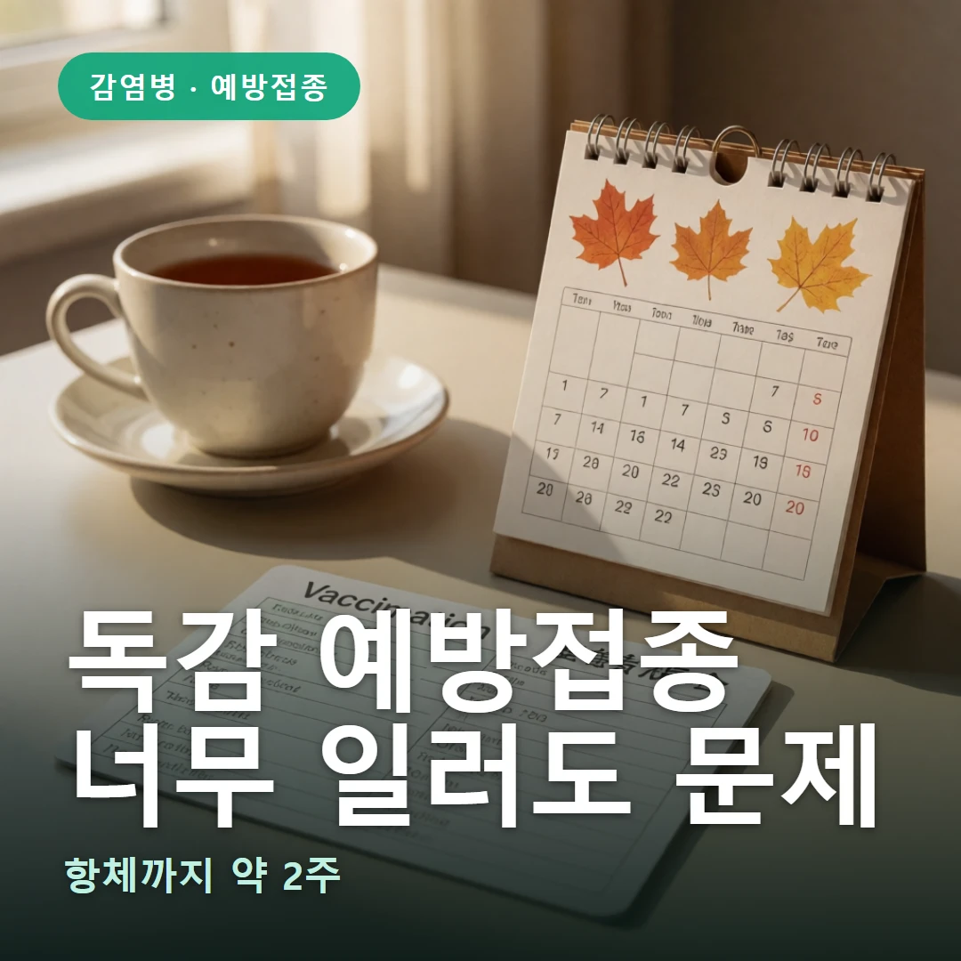 독감 예방접종 요약 표지 — 항체까지 약 2주