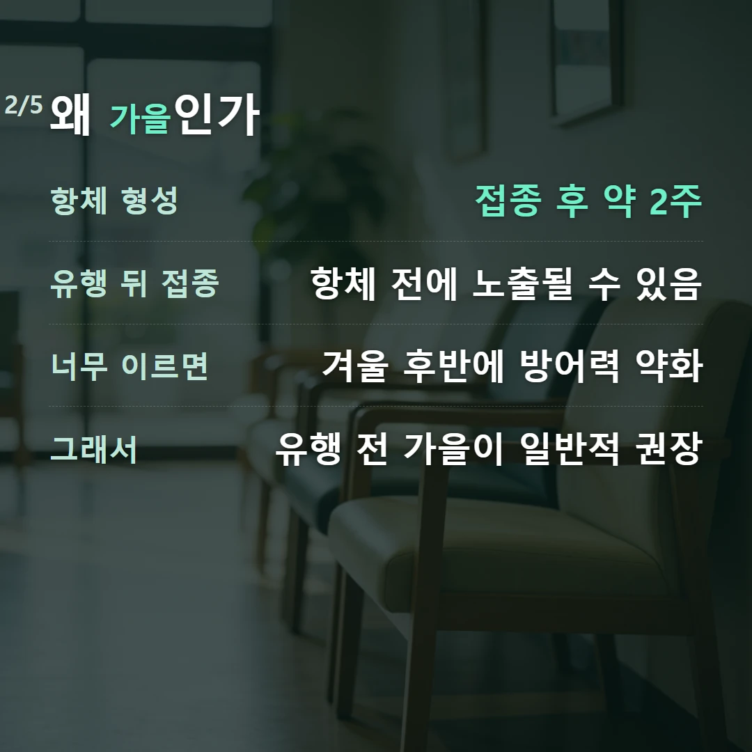왜 가을인가 — 항체 형성 접종 후 약 2주, 유행 뒤 접종 항체 전에 노출될 수 있음, 너무 이르면 겨울 후반에 방어력 약화, 그래서 유행 전 가을이 일반적 권장