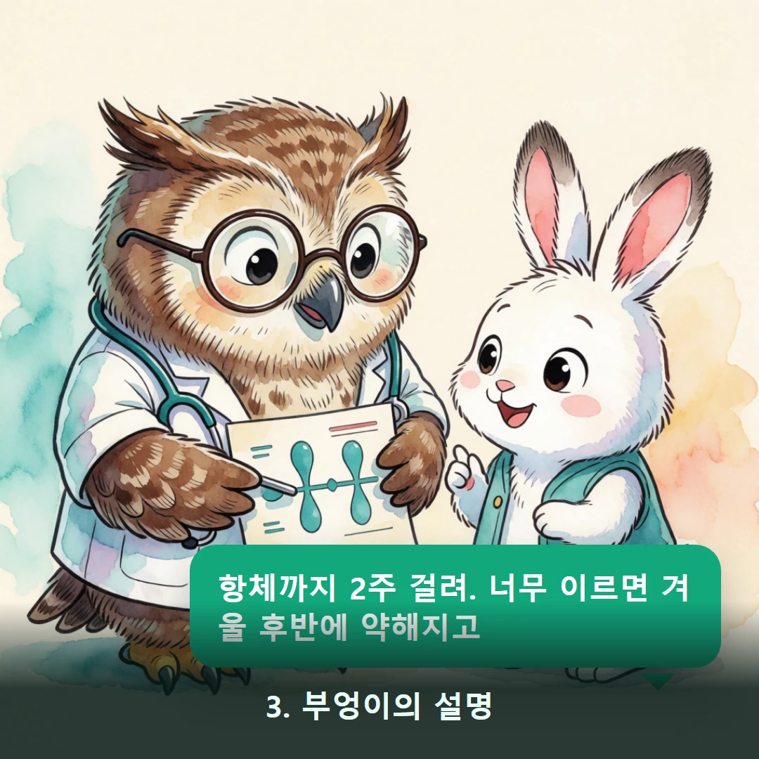 웹툰 3컷 — 3. 부엉이의 설명 (항체까지 2주 걸려. 너무 이르면 겨울 후반에 약해지고)