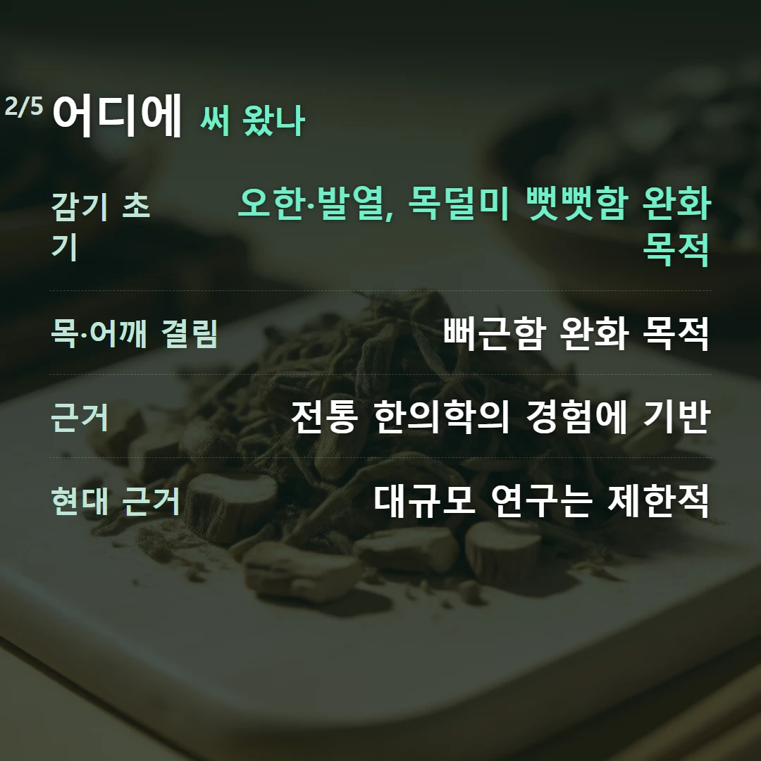 어디에 써 왔나 — 감기 초기 오한·발열, 목덜미 뻣뻣함 완화 목적, 목·어깨 결림 뻐근함 완화 목적, 근거 전통 한의학의 경험에 기반, 현대 근거 대규모 연구는 제한적