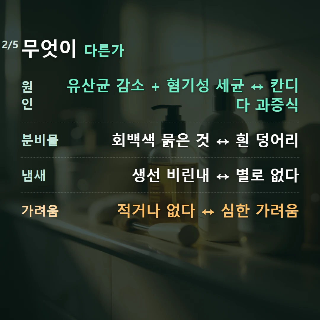무엇이 다른가 — 원인 유산균 감소 + 혐기성 세균 ↔ 칸디다 과증식, 분비물 회백색 묽은 것 ↔ 흰 덩어리, 냄새 생선 비린내 ↔ 별로 없다, 가려움 적거나 없다 ↔ 심한 가려움