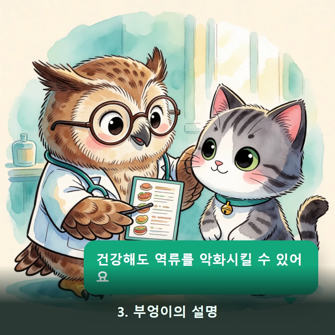 웹툰 3컷 — 3. 부엉이의 설명 (건강해도 역류를 악화시킬 수 있어요)
