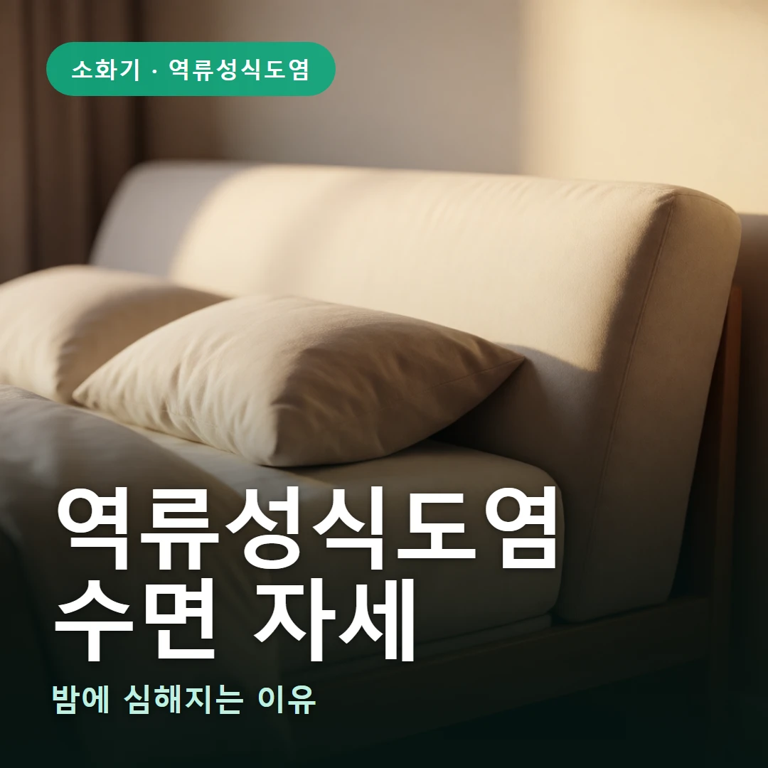 역류성식도염 수면 자세 요약 표지 — 밤에 심해지는 이유