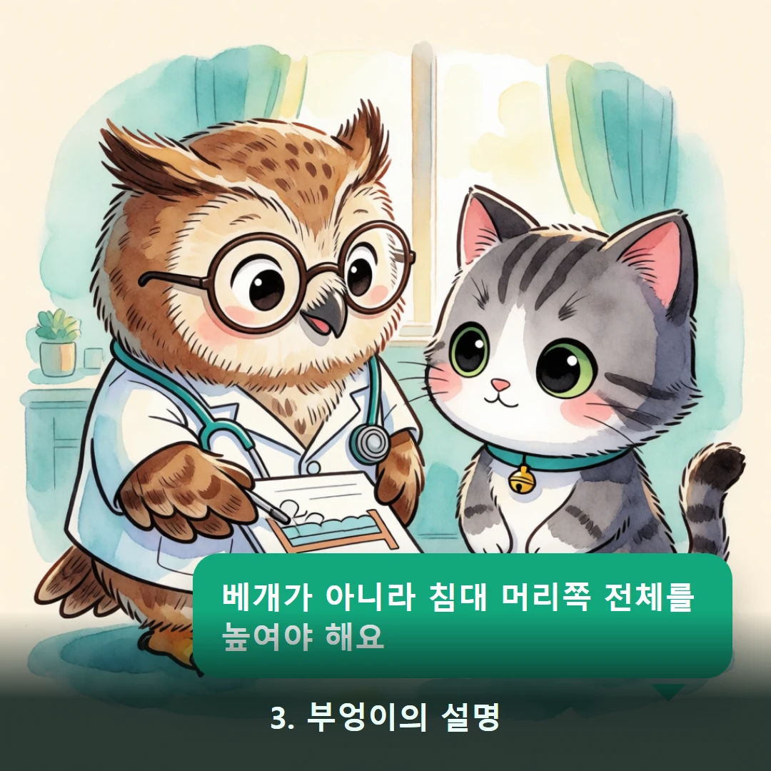 웹툰 3컷 — 3. 부엉이의 설명 (베개가 아니라 침대 머리쪽 전체를 높여야 해요)