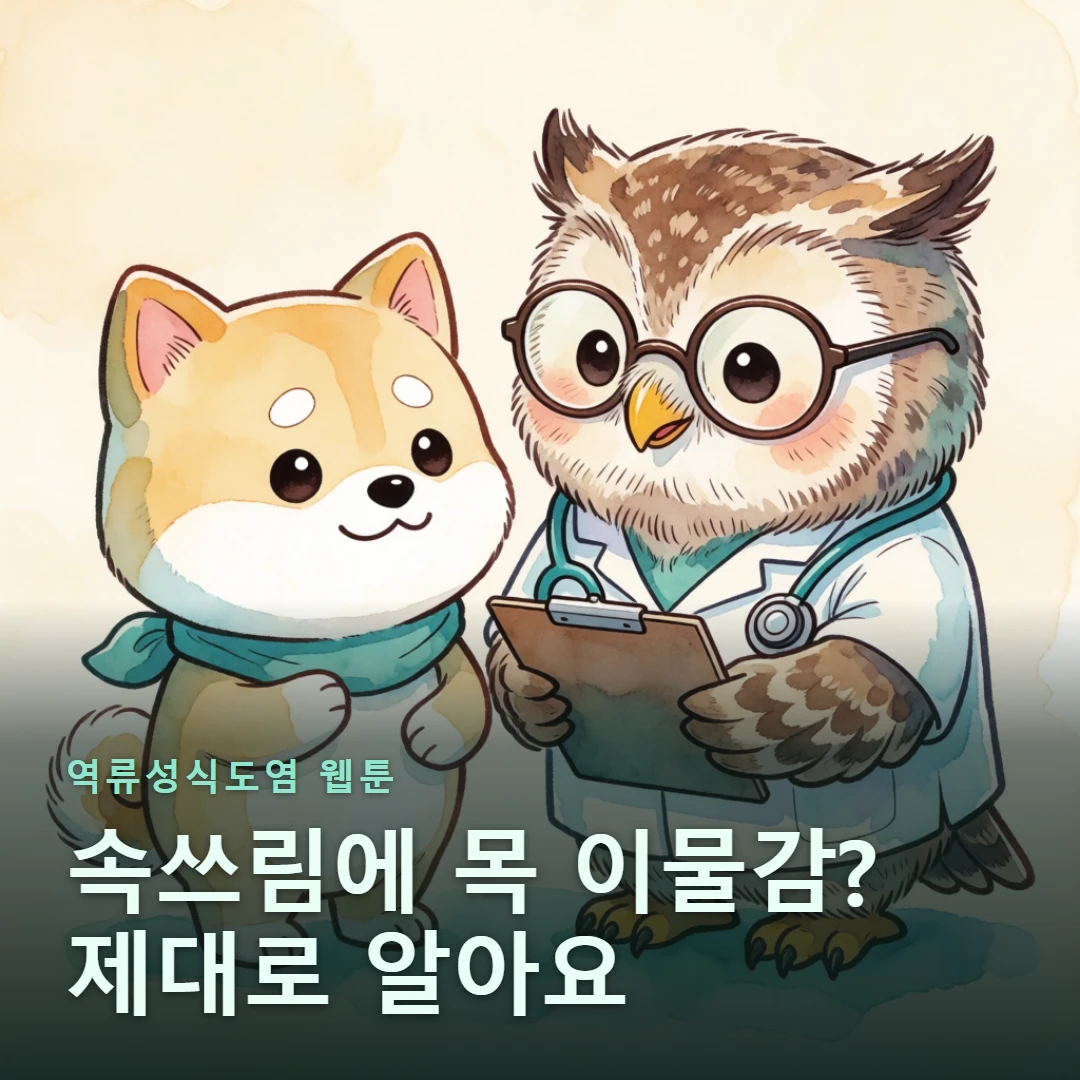 역류성식도염 웹툰 표지 — 속쓰림에 목 이물감? 제대로 알아요