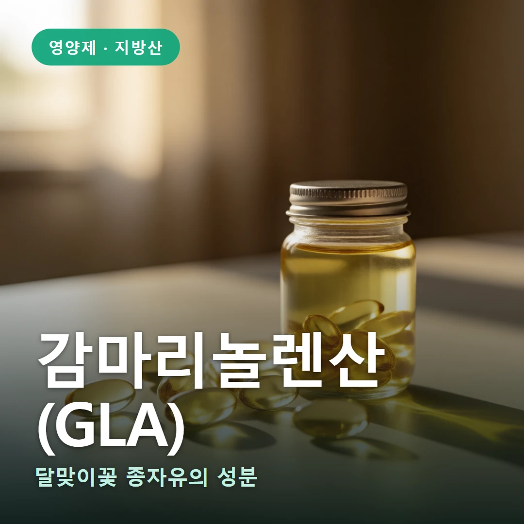 감마리놀렌산(GLA) 요약 표지 — 달맞이꽃 종자유의 성분
