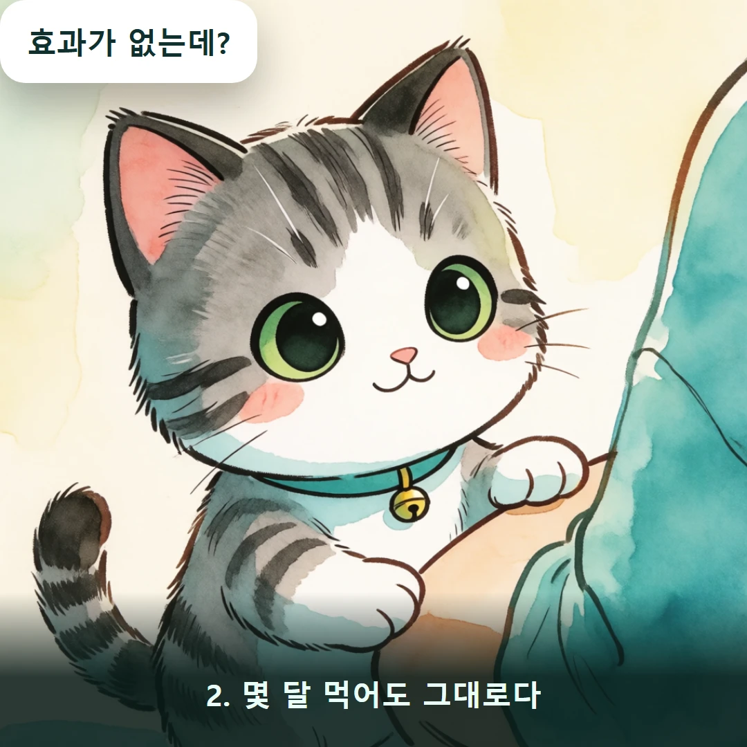 웹툰 2컷 — 2. 몇 달 먹어도 그대로다 (효과가 없는데?)