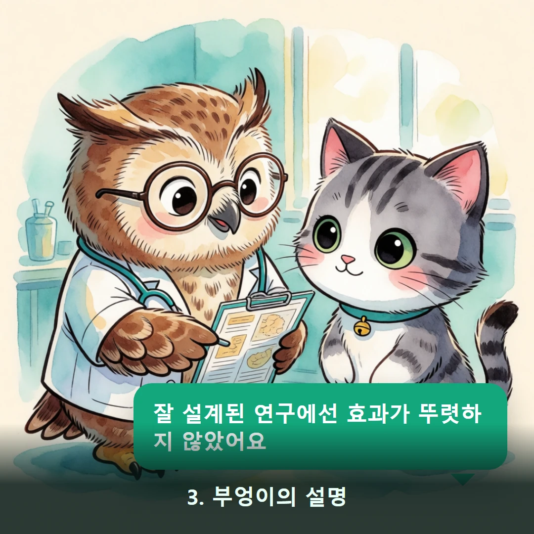 웹툰 3컷 — 3. 부엉이의 설명 (잘 설계된 연구에선 효과가 뚜렷하지 않았어요)