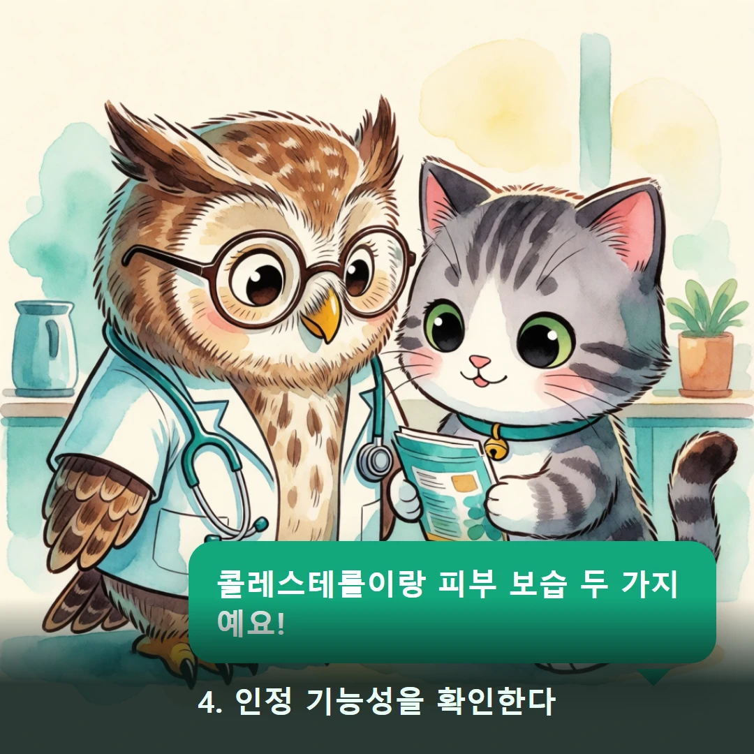 웹툰 4컷 — 4. 인정 기능성을 확인한다 (콜레스테롤이랑 피부 보습 두 가지예요!)