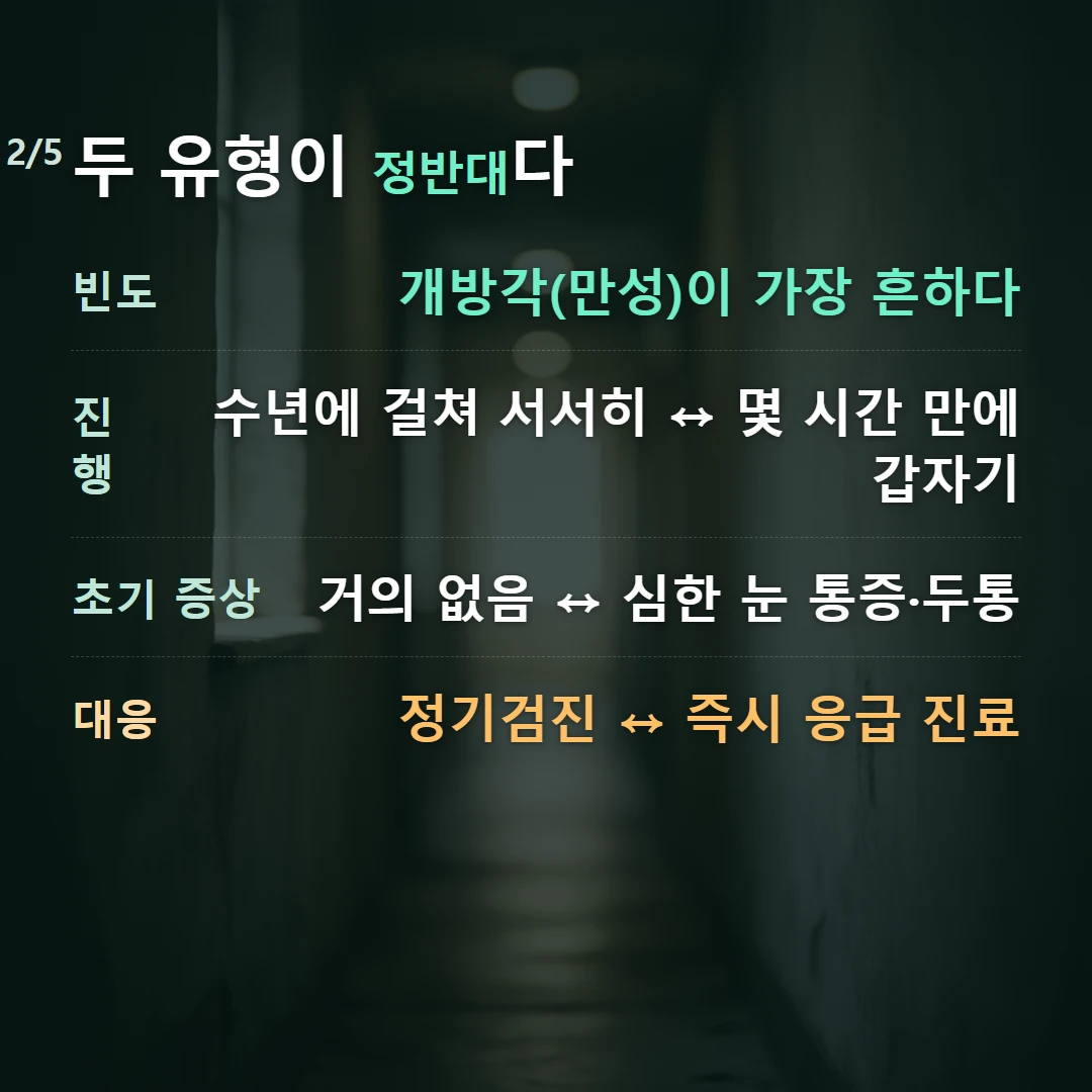 두 유형이 정반대다 — 빈도 개방각(만성)이 가장 흔하다, 진행 수년에 걸쳐 서서히 ↔ 몇 시간 만에 갑자기, 초기 증상 거의 없음 ↔ 심한 눈 통증·두통, 대응 정기검진 ↔ 즉시 응급 진료