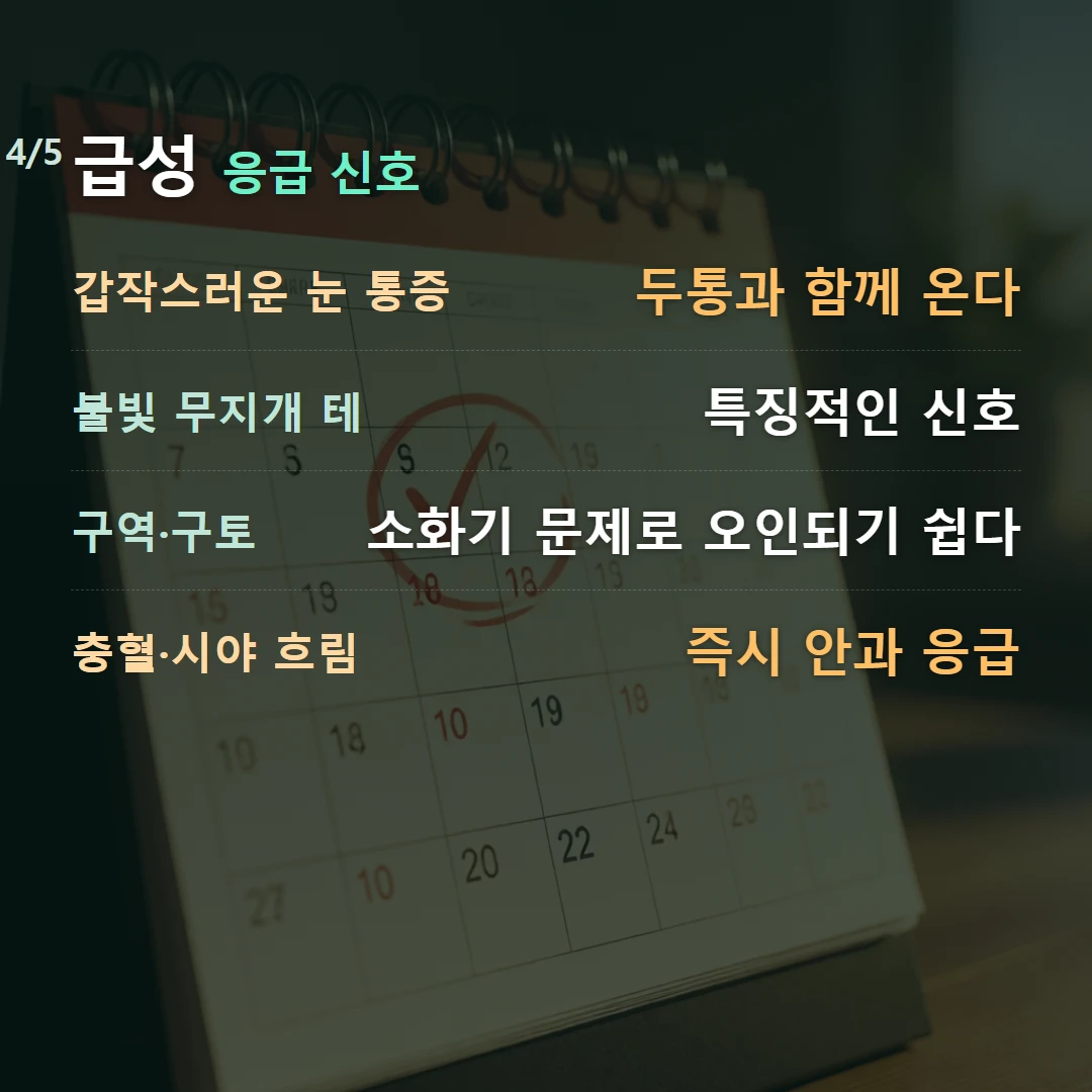 급성 응급 신호 — 갑작스러운 눈 통증 두통과 함께 온다, 불빛 무지개 테 특징적인 신호, 구역·구토 소화기 문제로 오인되기 쉽다, 충혈·시야 흐림 즉시 안과 응급