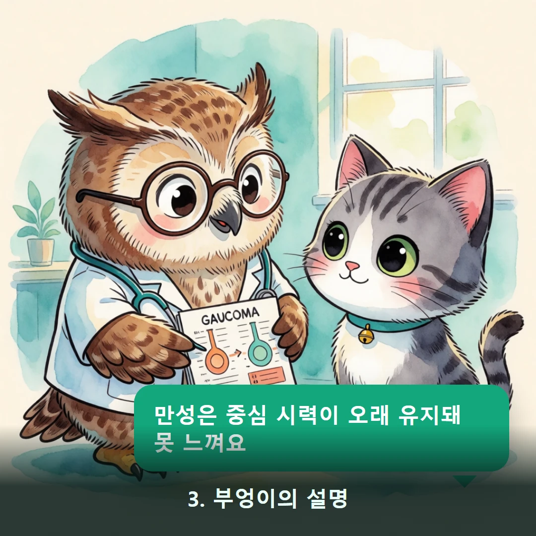 웹툰 3컷 — 3. 부엉이의 설명 (만성은 중심 시력이 오래 유지돼 못 느껴요)