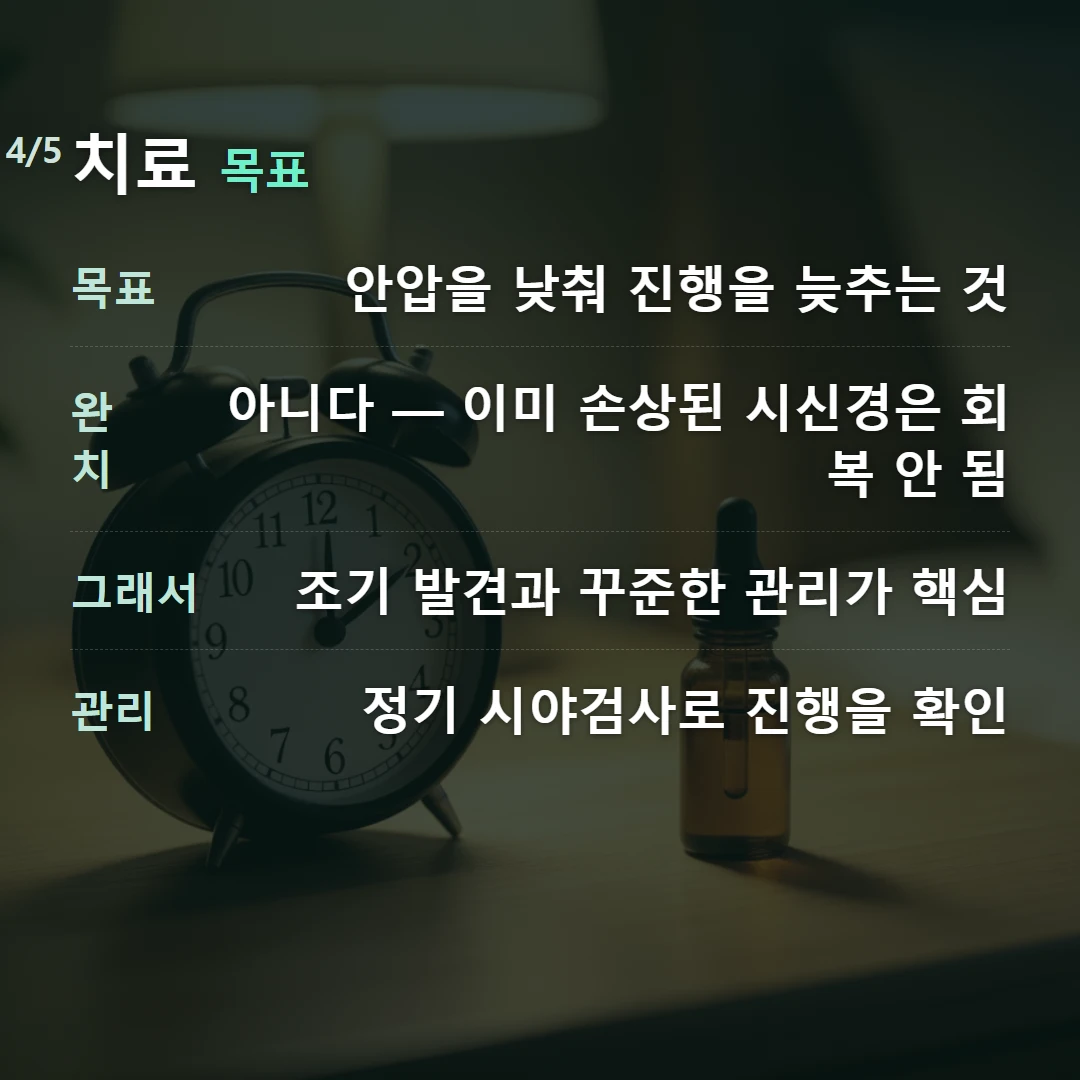 치료 목표 — 목표 안압을 낮춰 진행을 늦추는 것, 완치 아니다 — 이미 손상된 시신경은 회복 안 됨, 그래서 조기 발견과 꾸준한 관리가 핵심, 관리 정기 시야검사로 진행을 확인