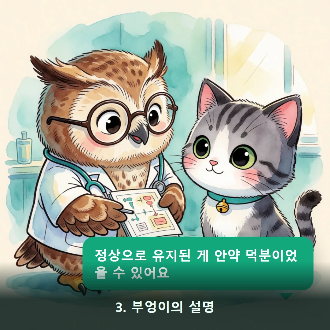 웹툰 3컷 — 3. 부엉이의 설명 (정상으로 유지된 게 안약 덕분이었을 수 있어요)