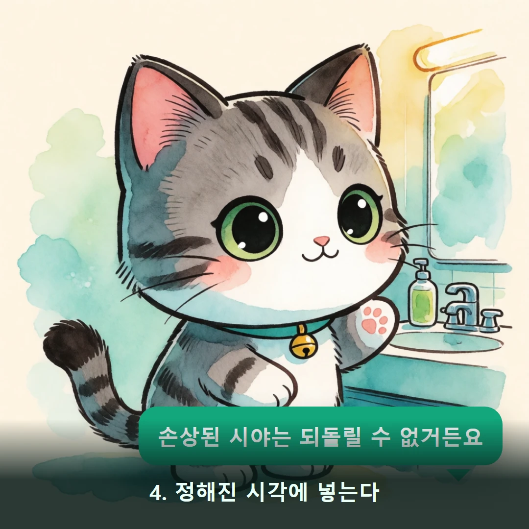 웹툰 4컷 — 4. 정해진 시각에 넣는다 (손상된 시야는 되돌릴 수 없거든요)