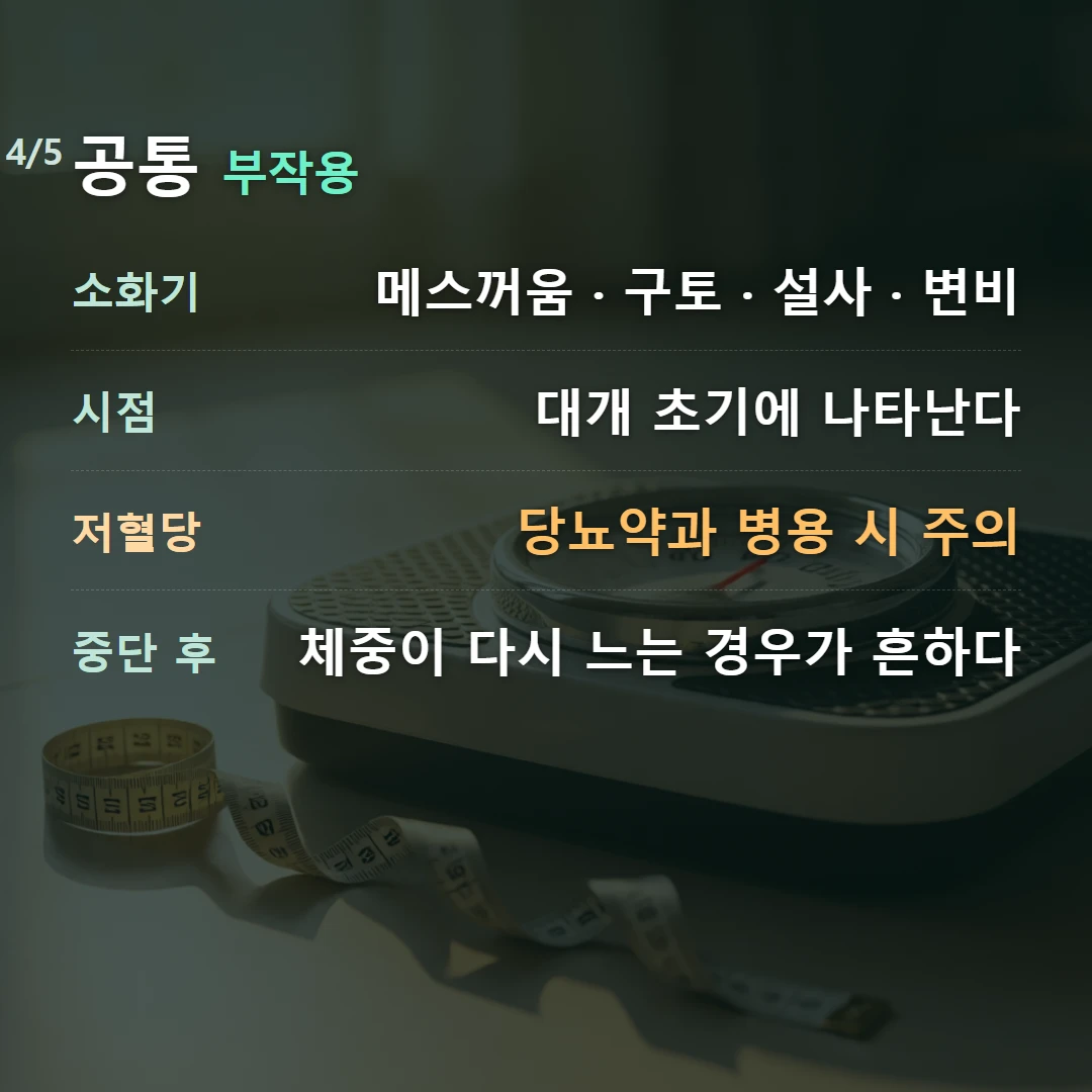 공통 부작용 — 소화기 메스꺼움 · 구토 · 설사 · 변비, 시점 대개 초기에 나타난다, 저혈당 당뇨약과 병용 시 주의, 중단 후 체중이 다시 느는 경우가 흔하다