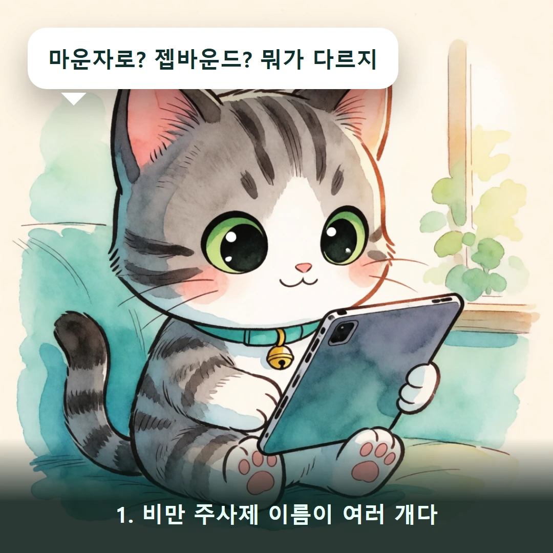 웹툰 1컷 — 1. 비만 주사제 이름이 여러 개다 (마운자로? 젭바운드? 뭐가 다르지)