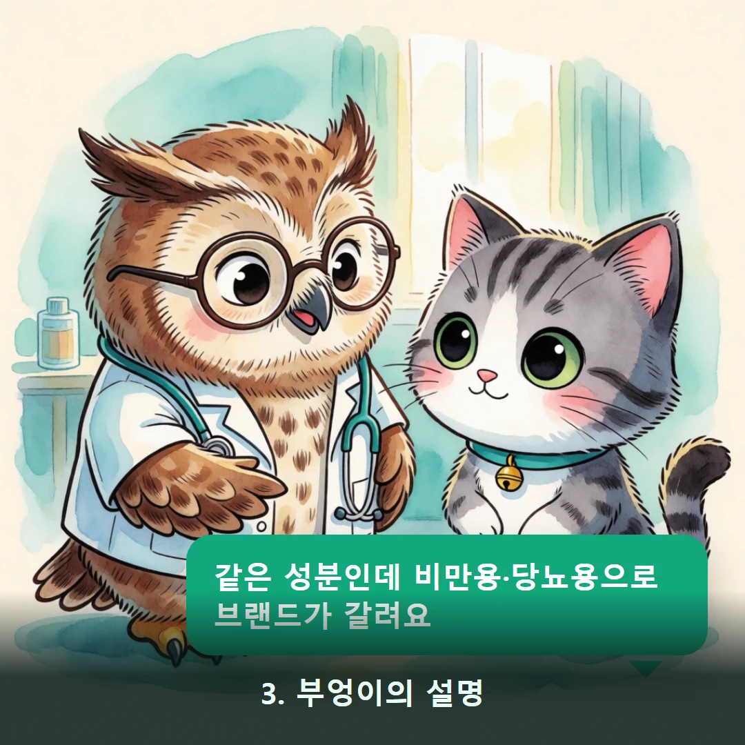 웹툰 3컷 — 3. 부엉이의 설명 (같은 성분인데 비만용·당뇨용으로 브랜드가 갈려요)
