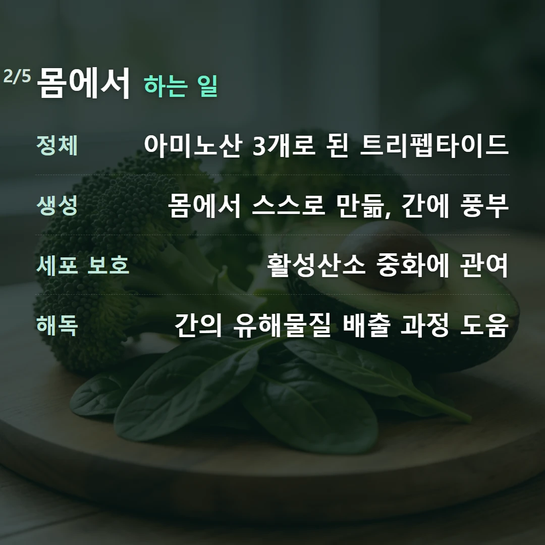 몸에서 하는 일 — 정체 아미노산 3개로 된 트리펩타이드, 생성 몸에서 스스로 만듦, 간에 풍부, 세포 보호 활성산소 중화에 관여, 해독 간의 유해물질 배출 과정 도움