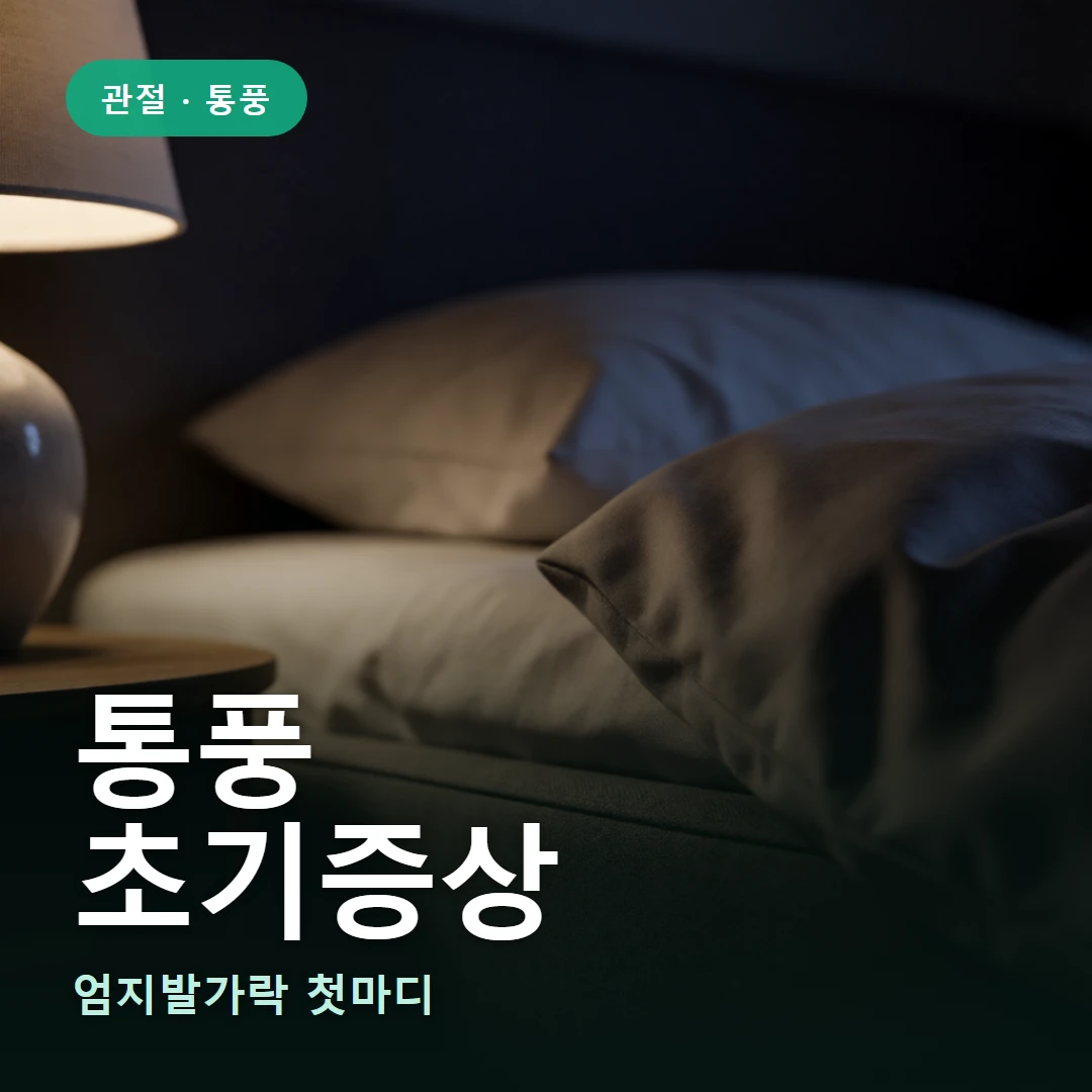 통풍 초기증상 요약 표지 — 엄지발가락 첫마디