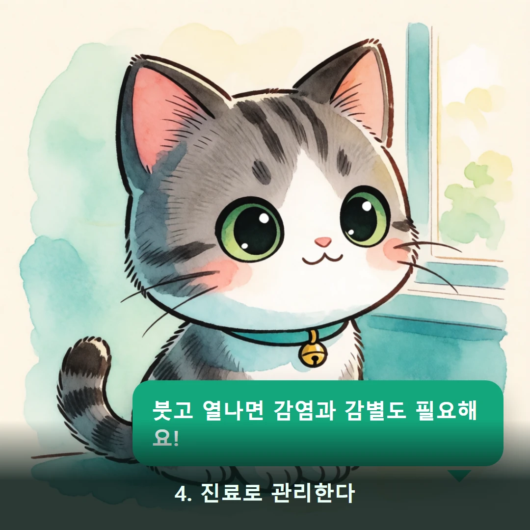 웹툰 4컷 — 4. 진료로 관리한다 (붓고 열나면 감염과 감별도 필요해요!)