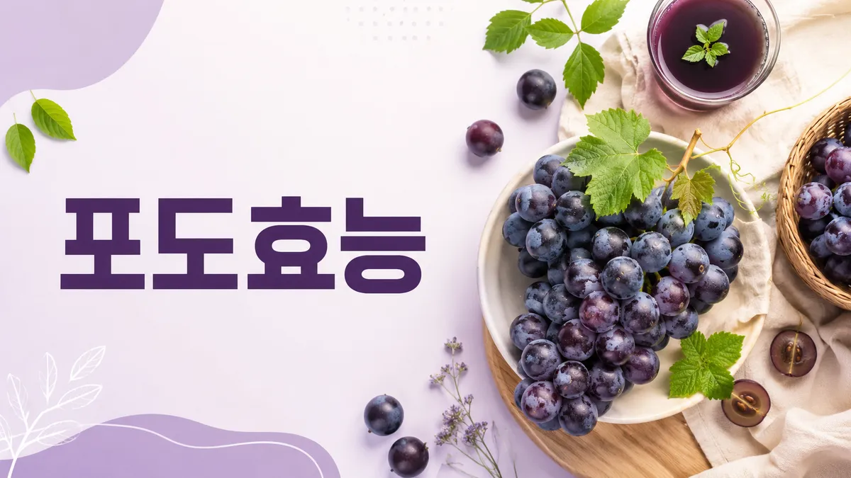 포도 효능과 레스베라트롤, 하루 적정량