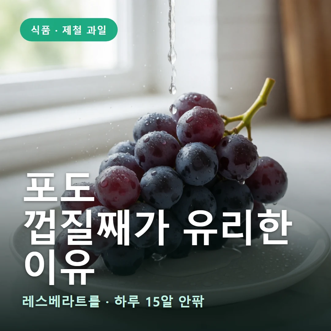 포도 요약 표지 — 레스베라트롤 · 하루 15알 안팎