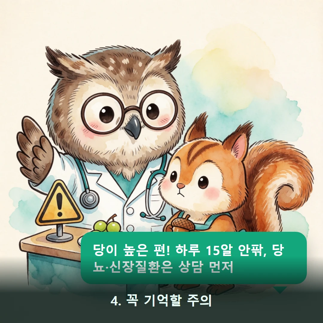 웹툰 4컷 — 4. 꼭 기억할 주의 (당이 높은 편! 하루 15알 안팎, 당뇨·신장질환은 상담 먼저)