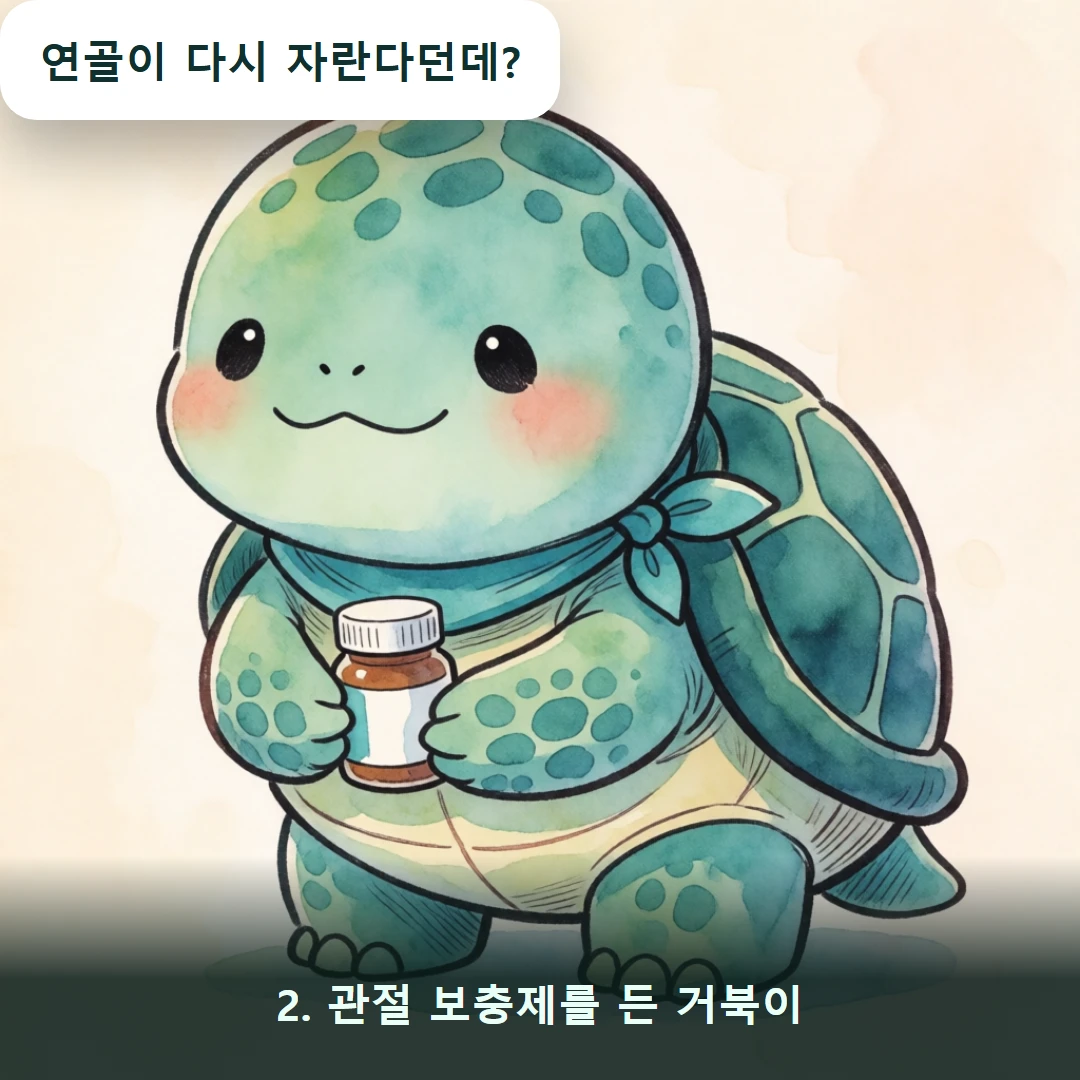 웹툰 2컷 — 2. 관절 보충제를 든 거북이 (연골이 다시 자란다던데?)