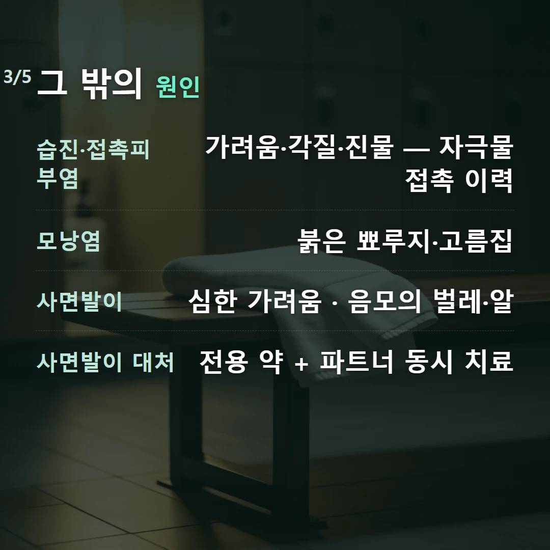 그 밖의 원인 — 습진·접촉피부염 가려움·각질·진물 — 자극물 접촉 이력, 모낭염 붉은 뾰루지·고름집, 사면발이 심한 가려움 · 음모의 벌레·알, 사면발이 대처 전용 약 + 파트너 동시 치료