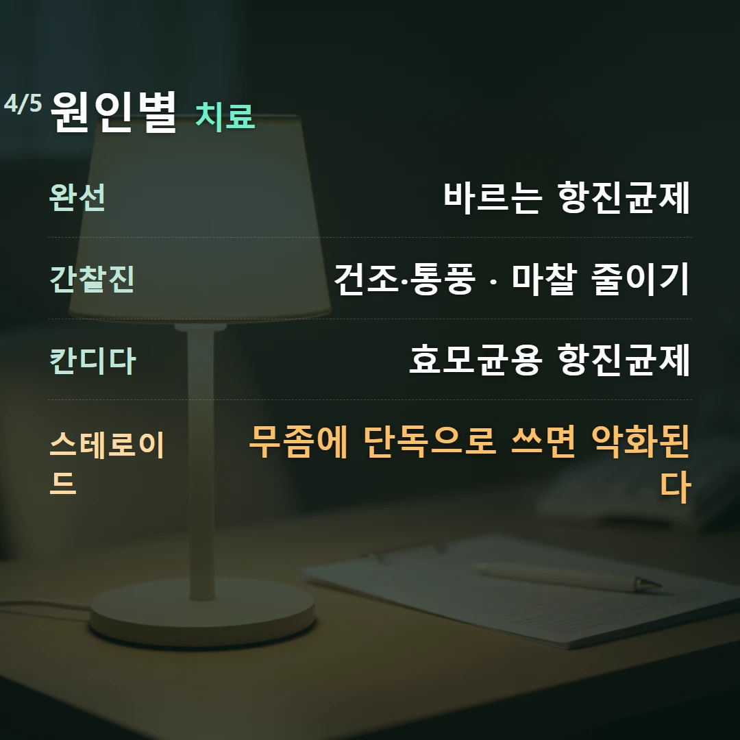 원인별 치료 — 완선 바르는 항진균제, 간찰진 건조·통풍 · 마찰 줄이기, 칸디다 효모균용 항진균제, 스테로이드 무좀에 단독으로 쓰면 악화된다