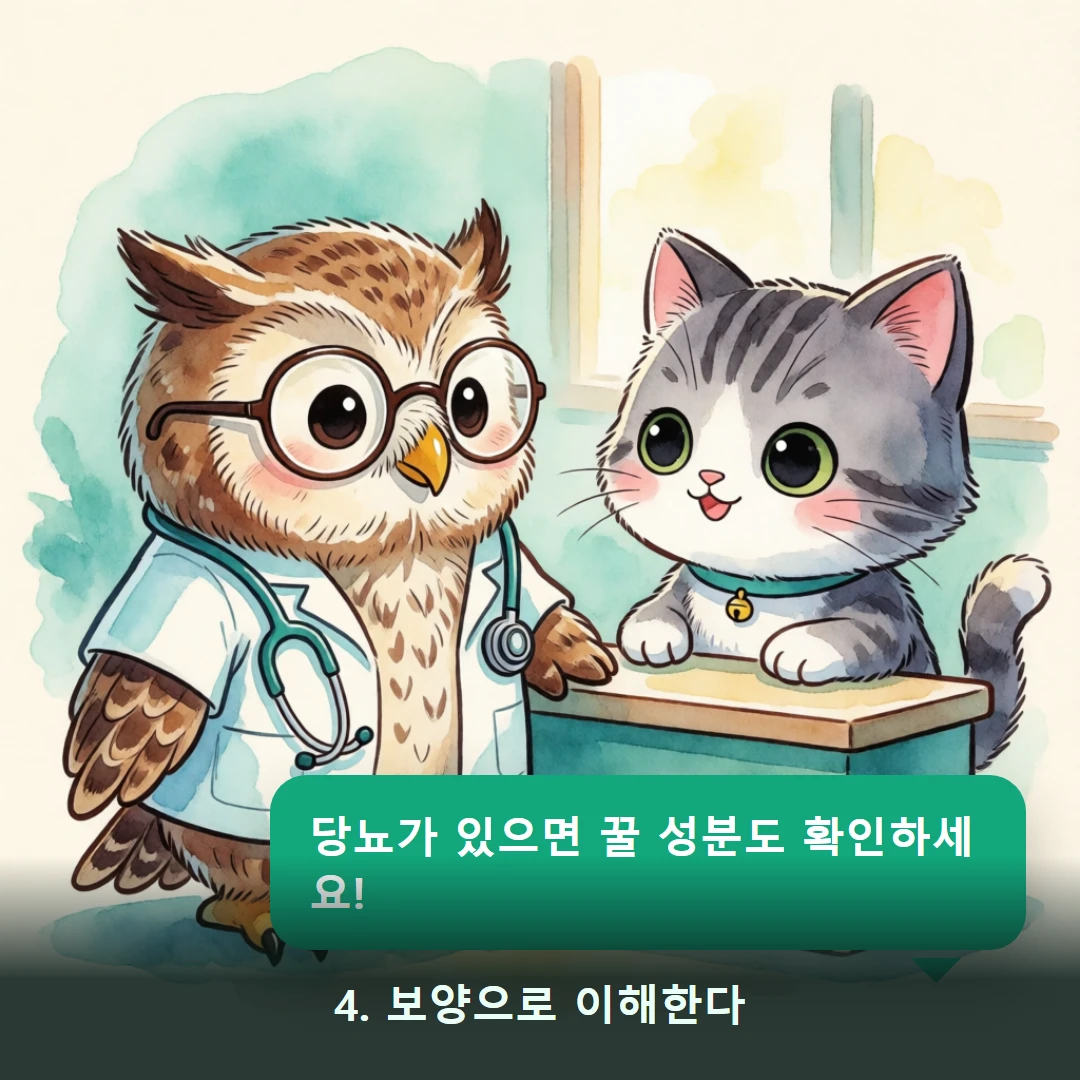웹툰 4컷 — 4. 보양으로 이해한다 (당뇨가 있으면 꿀 성분도 확인하세요!)