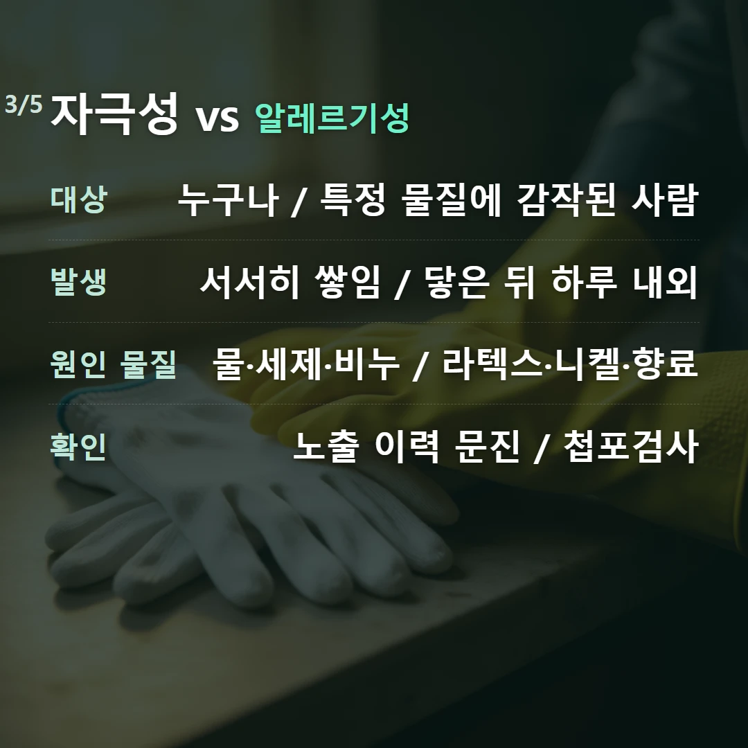 자극성 vs 알레르기성 — 대상 누구나 / 특정 물질에 감작된 사람, 발생 서서히 쌓임 / 닿은 뒤 하루 내외, 원인 물질 물·세제·비누 / 라텍스·니켈·향료, 확인 노출 이력 문진 / 첩포검사