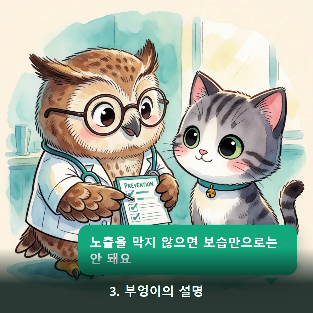 웹툰 3컷 — 3. 부엉이의 설명 (노출을 막지 않으면 보습만으로는 안 돼요)