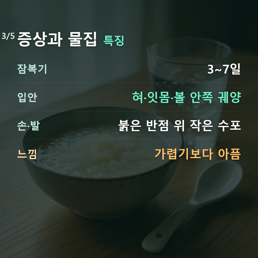 증상과 물집 특징 — 잠복기 3~7일, 입안 혀·잇몸·볼 안쪽 궤양, 손·발 붉은 반점 위 작은 수포, 느낌 가렵기보다 아픔