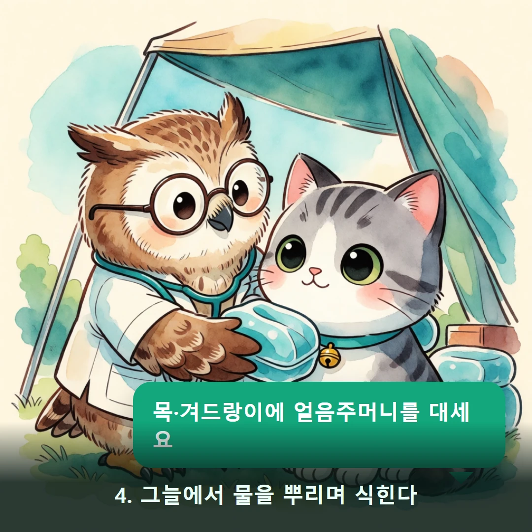 웹툰 4컷 — 4. 그늘에서 물을 뿌리며 식힌다 (목·겨드랑이에 얼음주머니를 대세요)