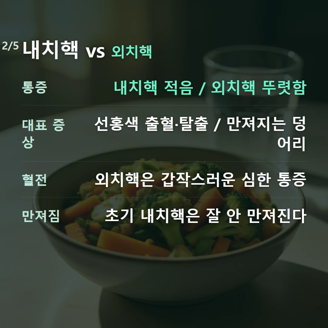 내치핵 vs 외치핵 — 통증 내치핵 적음 / 외치핵 뚜렷함, 대표 증상 선홍색 출혈·탈출 / 만져지는 덩어리, 혈전 외치핵은 갑작스러운 심한 통증, 만져짐 초기 내치핵은 잘 안 만져진다
