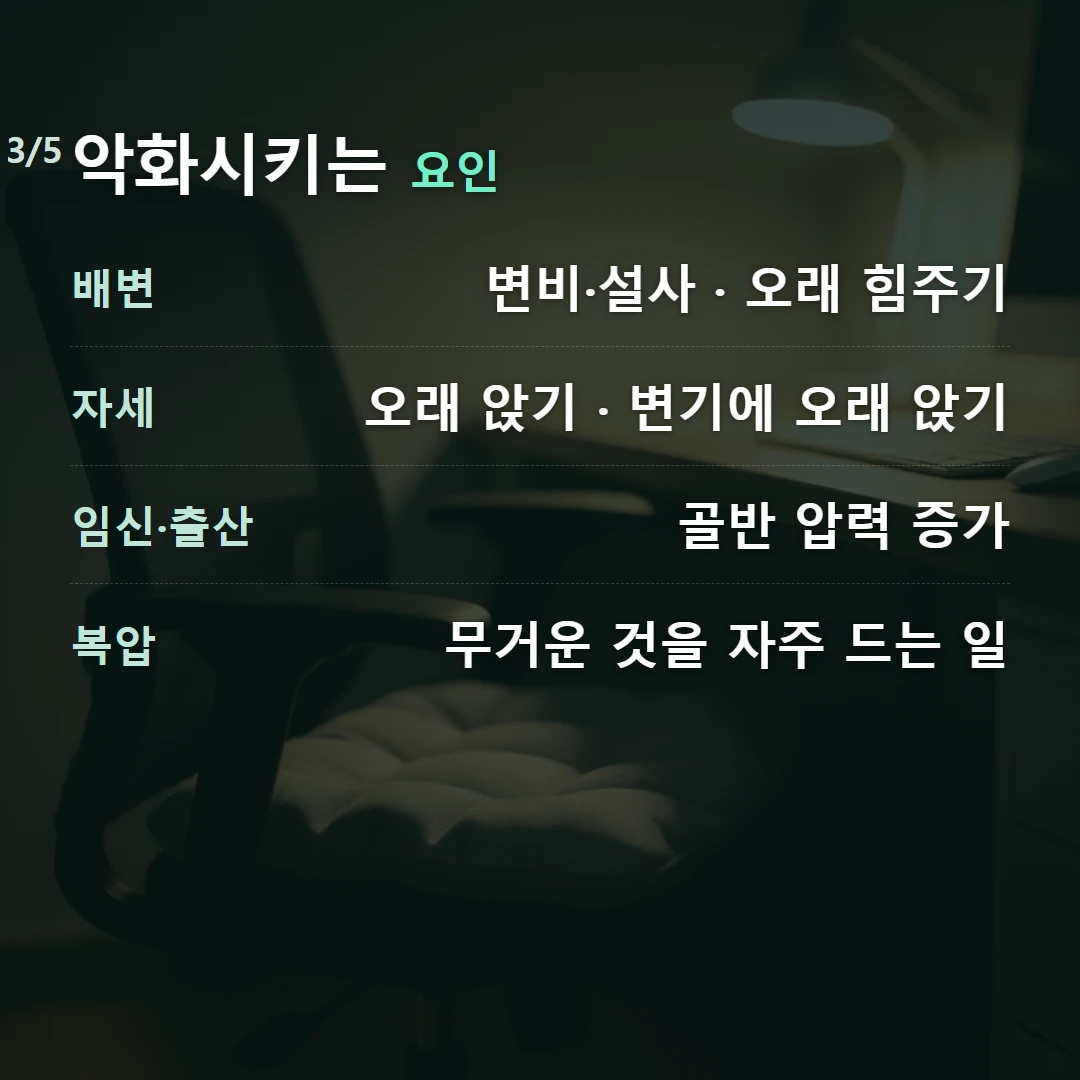 악화시키는 요인 — 배변 변비·설사 · 오래 힘주기, 자세 오래 앉기 · 변기에 오래 앉기, 임신·출산 골반 압력 증가, 복압 무거운 것을 자주 드는 일
