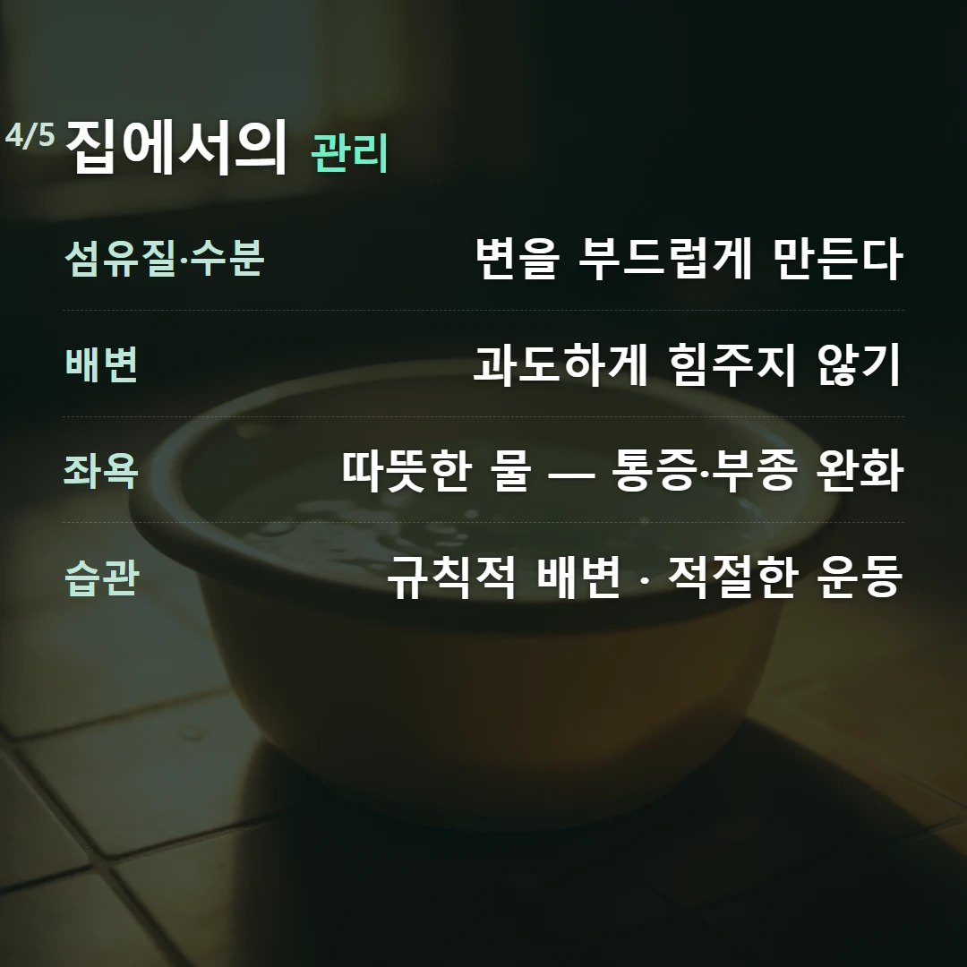 집에서의 관리 — 섬유질·수분 변을 부드럽게 만든다, 배변 과도하게 힘주지 않기, 좌욕 따뜻한 물 — 통증·부종 완화, 습관 규칙적 배변 · 적절한 운동