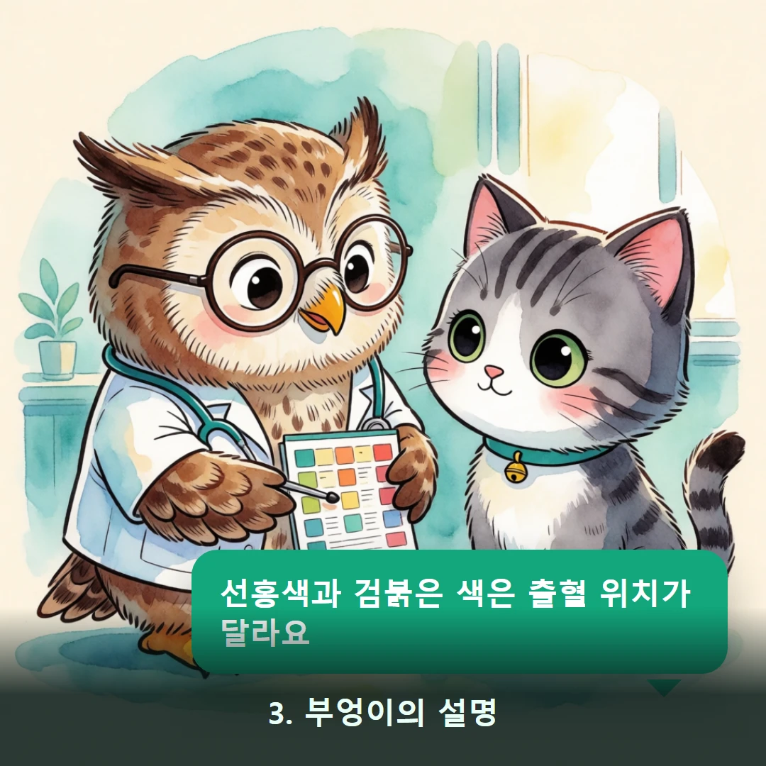 웹툰 3컷 — 3. 부엉이의 설명 (선홍색과 검붉은 색은 출혈 위치가 달라요)