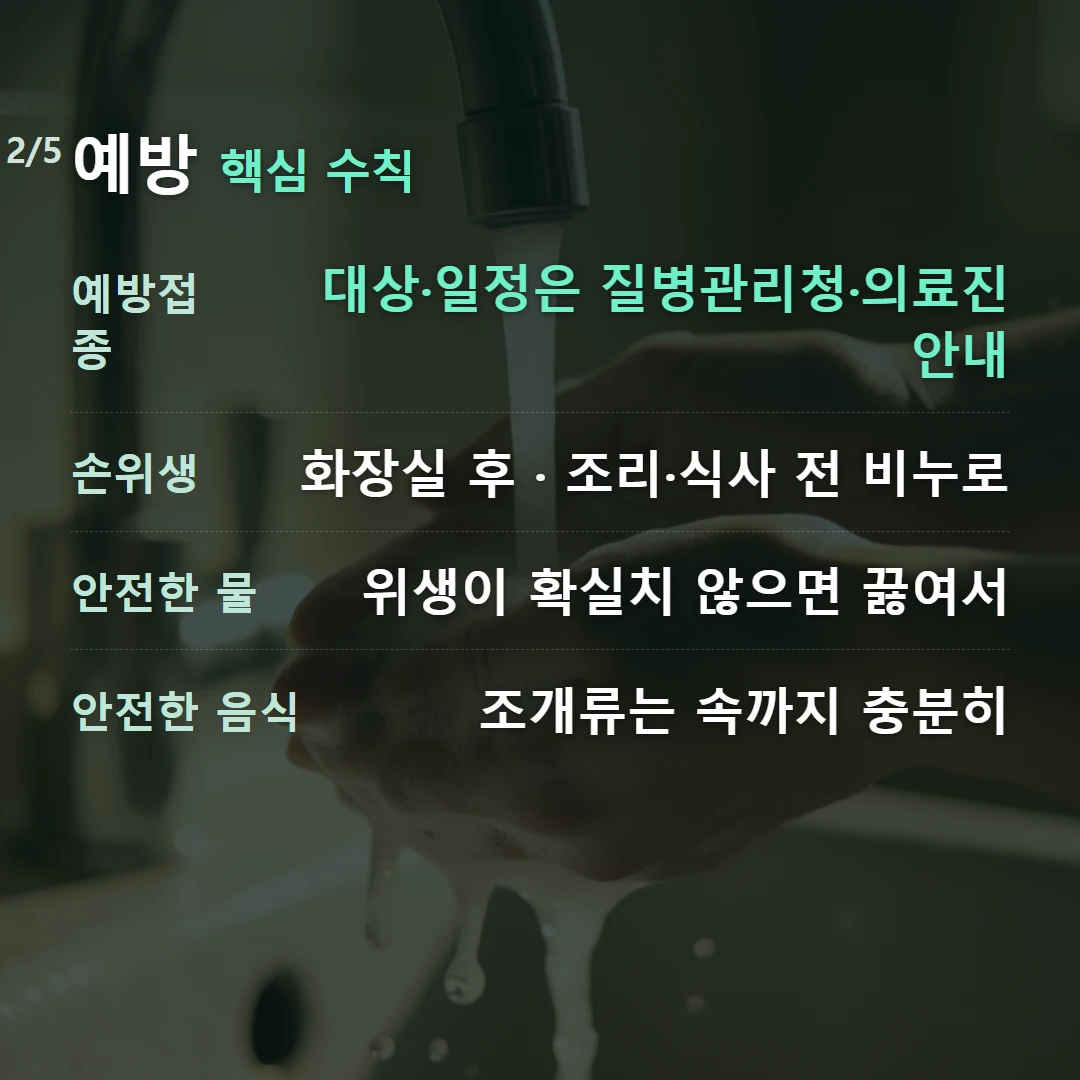예방 핵심 수칙 — 예방접종 대상·일정은 질병관리청·의료진 안내, 손위생 화장실 후 · 조리·식사 전 비누로, 안전한 물 위생이 확실치 않으면 끓여서, 안전한 음식 조개류는 속까지 충분히