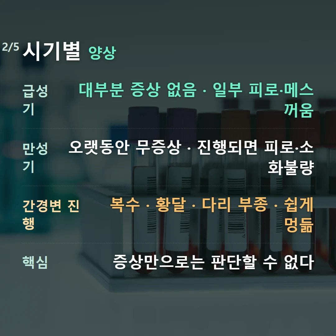 시기별 양상 — 급성기 대부분 증상 없음 · 일부 피로·메스꺼움, 만성기 오랫동안 무증상 · 진행되면 피로·소화불량, 간경변 진행 복수 · 황달 · 다리 부종 · 쉽게 멍듦, 핵심 증상만으로는 판단할 수 없다